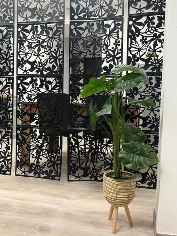 Residence Morena Roma Dış mekan fotoğraf