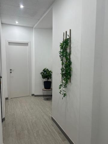 Residence Morena Roma Dış mekan fotoğraf